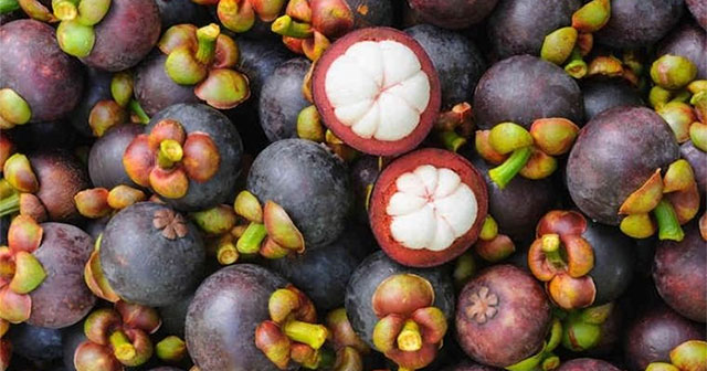 Cảnh Báo Về Những Đại Kỵ Khi Tiêu Thụ Măng Cụt
