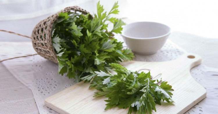Ngải cứu được các chị em phụ nữ tin dùng trong việc làm đẹp. Ngải cứu được các chị em phụ nữ tin dùng trong việc làm đẹp.