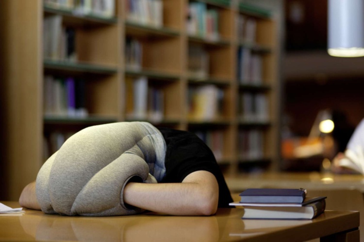 Dành một chút thời gian hàng ngày cho việc ngủ trưa để thư giãn đầu óc và cơ thể. Dành một chút thời gian hàng ngày cho việc ngủ trưa để thư giãn đầu óc và cơ thể.