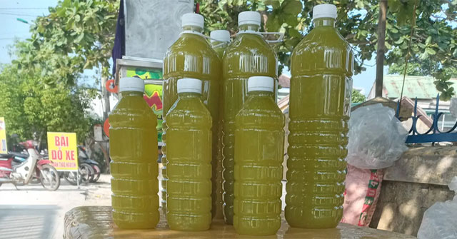 Khám Phá Nguyên Nhân và Phương Pháp Bảo Quản Nước Mía Tươi Hiệu Quả