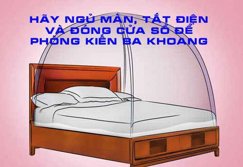 Hãy ngủ trong màn, tắt điện, và đóng cửa để tránh kiến ba khoang