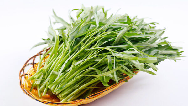 Những Lưu Ý Quan Trọng Khi Tiêu Thụ Rau Muống Để Bảo Vệ Sức Khỏe