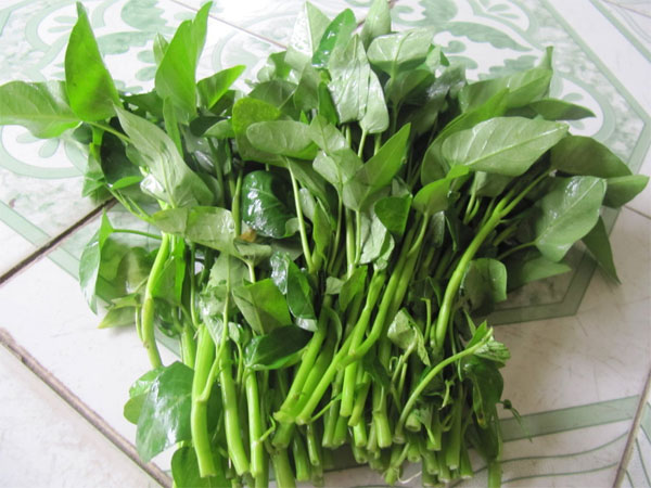 Rau muống cần được nấu chín để đảm bảo an toàn cho sức khỏe. Ăn rau muống cần lưu ý về an toàn thực phẩm