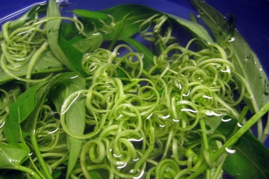 Ăn rau muống sống có thể gây hại cho sức khỏe. Ăn rau muống: Những điều cần hết sức lưu ý