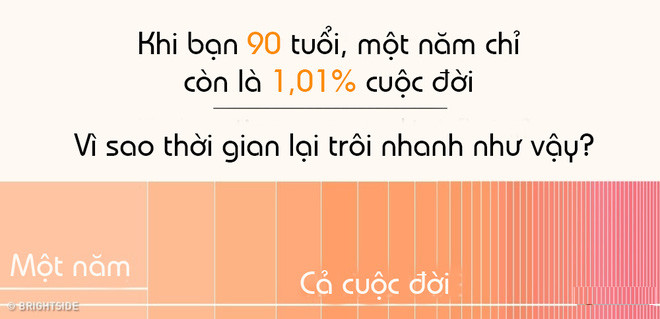 Cảm nhận thời gian tỉ lệ với thông tin tiếp nhận Cảm nhận thời gian tỉ lệ với thông tin tiếp nhận
