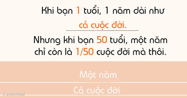 Tại Sao Thời Gian Có Vẻ Trôi Nhanh Khi Ta Già Đi?