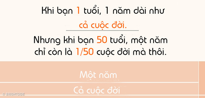 Thời gian chỉ chiếm 2% cuộc đời khi bạn 50 tuổi Thời gian chỉ chiếm 2% cuộc đời khi bạn 50 tuổi