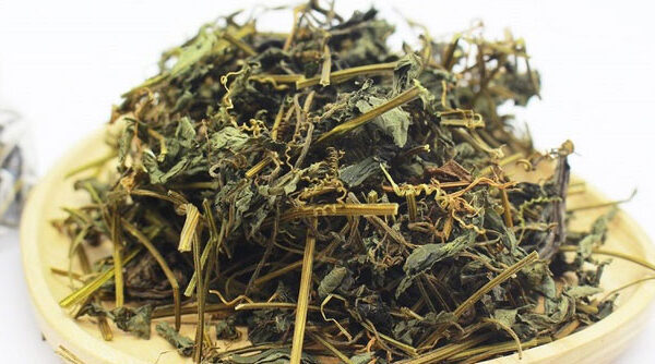 Giảo Cổ Lam: Cây Dược Quý Từ Thiên Nhiên Với Nhiều Lợi Ích Sức Khỏe