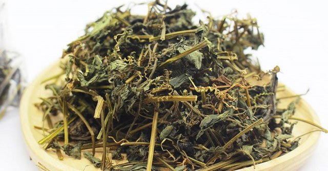 Giảo Cổ Lam: Cây Dược Quý Từ Thiên Nhiên Với Nhiều Lợi Ích Sức Khỏe