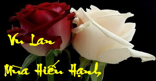 Khám Phá Ý Nghĩa Lễ Vu Lan Và Biểu Tượng Bông Hồng Cài Áo