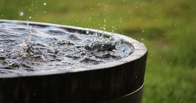 Cảnh Báo Về Nước Mưa Ô Nhiễm: Nguy Cơ Tiềm Ẩn Cho Sức Khỏe