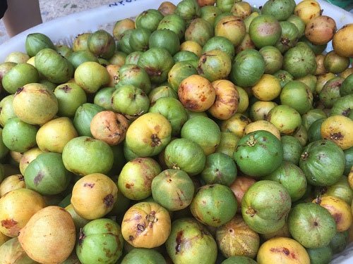 Quả bứa không chỉ tăng thêm hương vị cho món ăn mà còn tốt cho sức khỏe.
