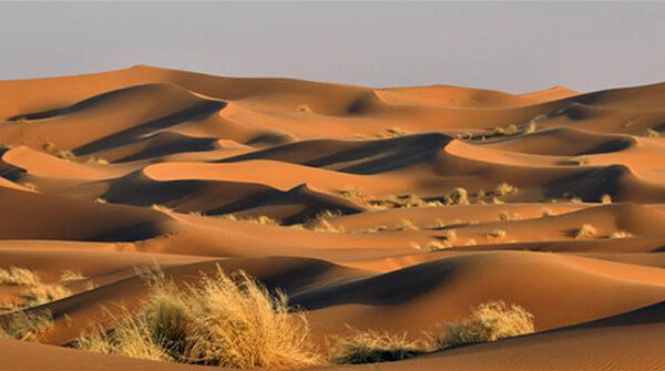 Khám Phá Độ Sâu Bí Ẩn Của Sa Mạc Sahara Qua Công Nghệ Radar
