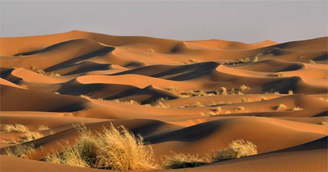 Khám Phá Độ Sâu Bí Ẩn Của Sa Mạc Sahara Qua Công Nghệ Radar
