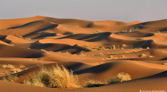 sa-mac-sahara Sa mạc Sahara là một trong những sa mạc lớn nhất thế giới.