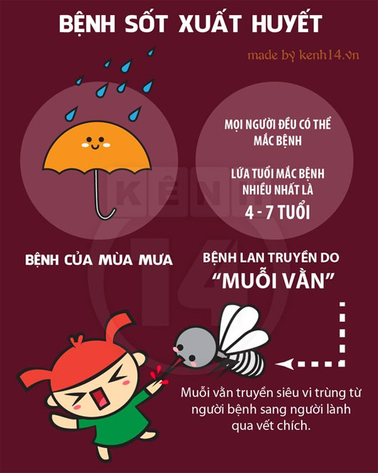 Chống lại bệnh sốt xuất huyết đang 