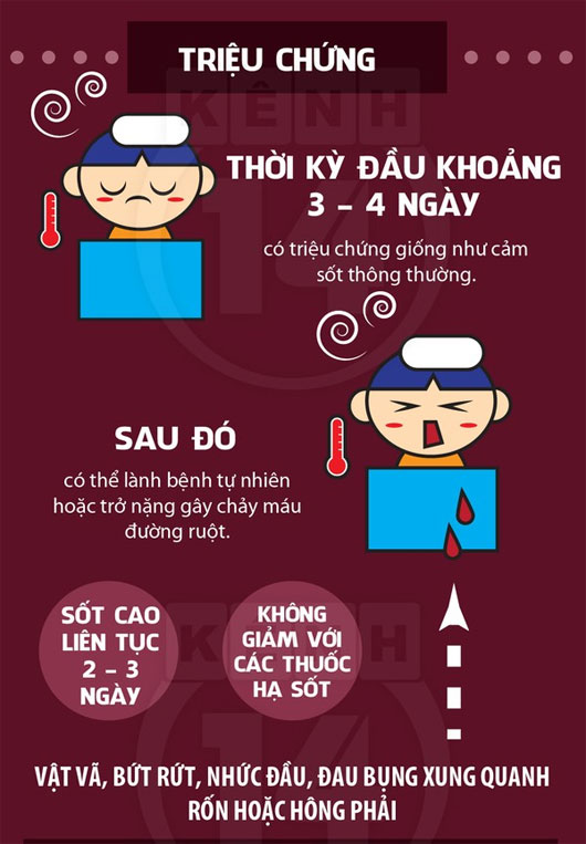 Chống lại bệnh sốt xuất huyết đang 
