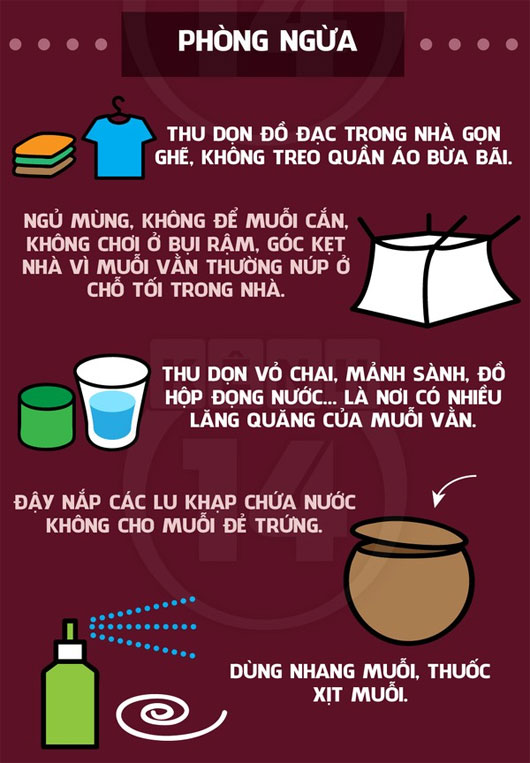 Chống lại bệnh sốt xuất huyết đang 