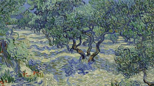 Châu chấu ẩn trong ‘Những cây ô-liu’ của Van Gogh: phát hiện bất ngờ và ý nghĩa bảo quản