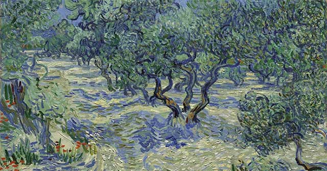 Châu chấu ẩn trong ‘Những cây ô-liu’ của Van Gogh: phát hiện bất ngờ và ý nghĩa bảo quản