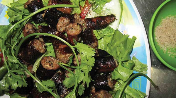 Thịt trăn: Nguồn protein ít tốn tài nguyên và tiềm năng phát triển toàn cầu