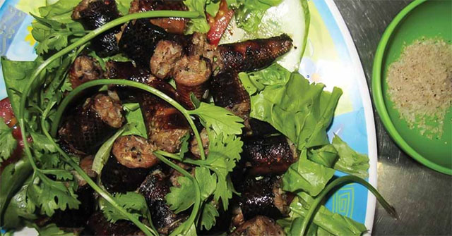 Thịt trăn: Nguồn protein ít tốn tài nguyên và tiềm năng phát triển toàn cầu