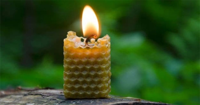 9 Phương Pháp Tự Nhiên Để Cải Thiện Không Khí Trong Nhà Của Bạn