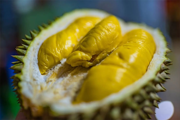 sau-rieng Sầu riêng rất giàu chất dinh dưỡng.