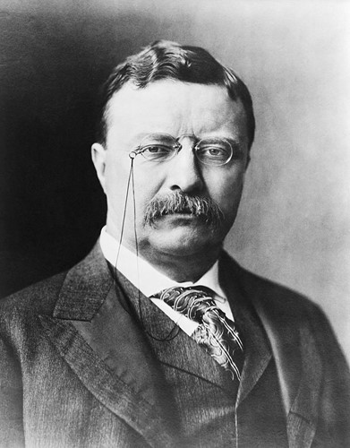 teddy-roosevelt Teddy Roosevelt